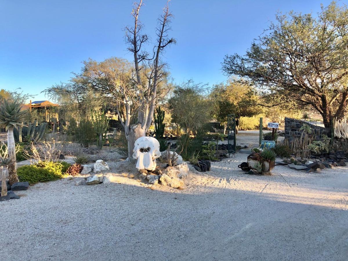 Daureb Isib Campsite And B&B Uis Εξωτερικό φωτογραφία