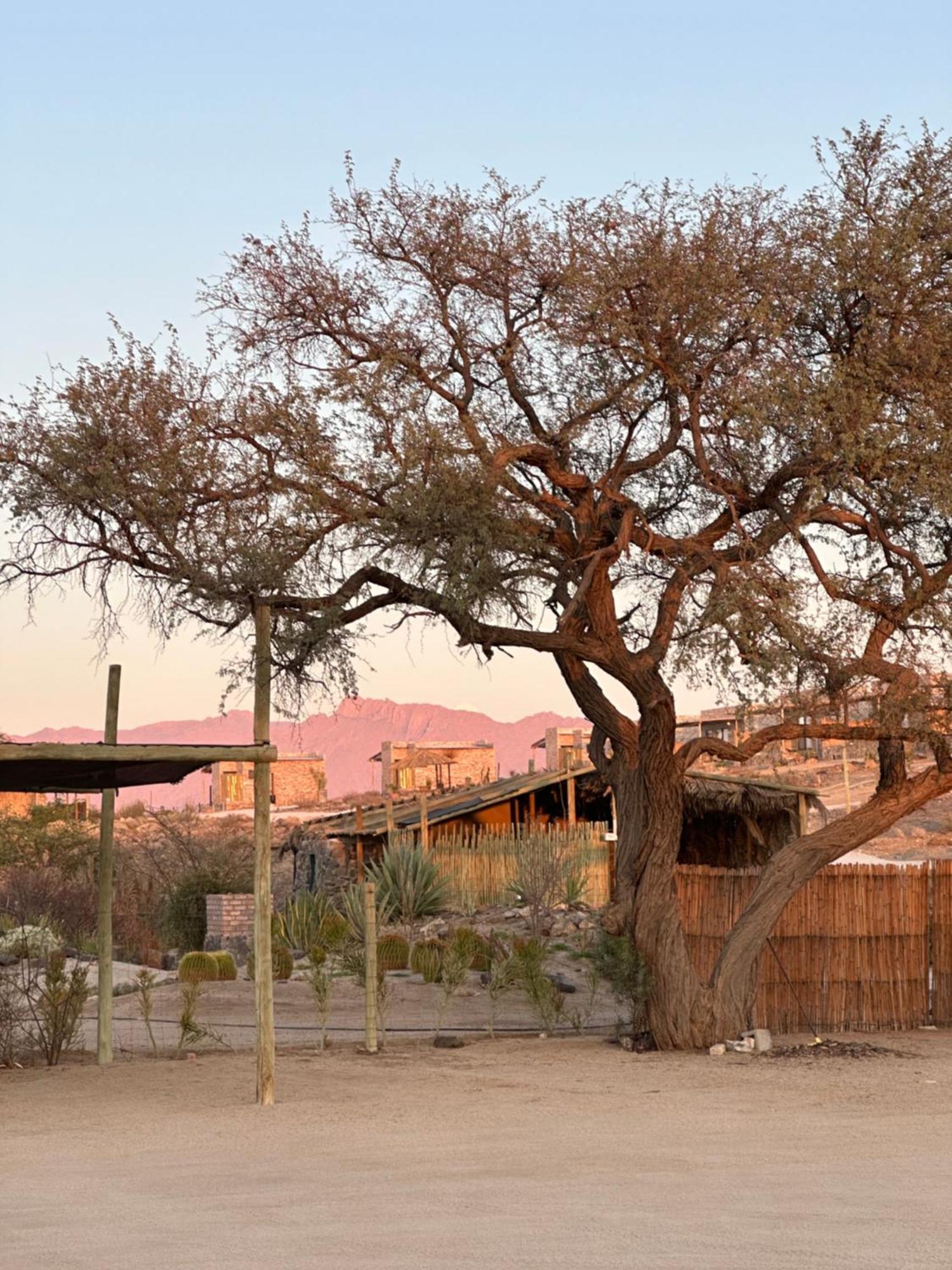 Daureb Isib Campsite And B&B Uis Εξωτερικό φωτογραφία